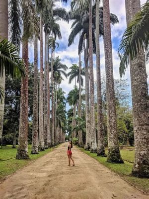  Jardim Botânico do Rio de Janeiro: อุทยานเขียวขจี ใจกลางเมืองใหญ่!