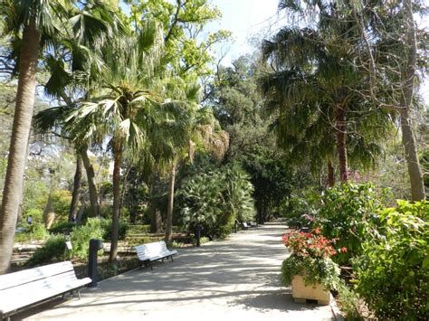 El Jardín Botánico de Valencia: โอเอซิสสีเขียวของความสงบและความร่ำรวยทางพฤกษศาสตร์!