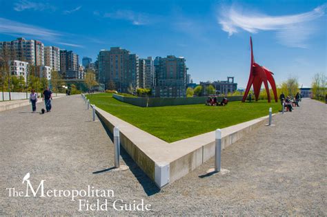 Olympic Sculpture Park:  a Breathtaking Outdoor Oasis Where Art Meets Nature!